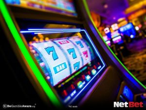 79h|Top Cassino Digital com Versão Mobile – Teste Hoje